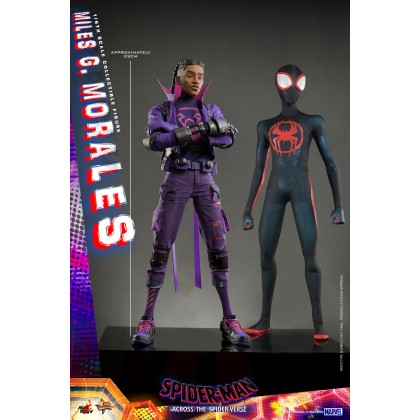 Miles G. Morales - Hot Toys MMS725 Spider-Man Across the Spider