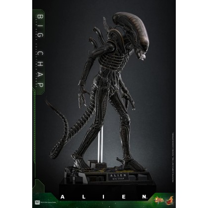 ACPLAY 1/6 Universe Superhuman コミック.Ver toyzmetaverse