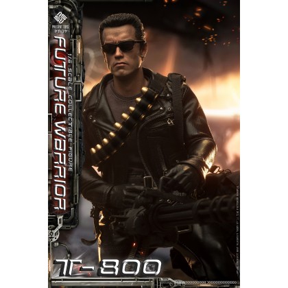 Future Warrior T800 - Present Toys PT-SP39 1/6th scale